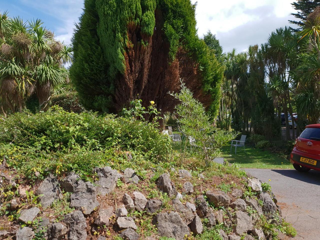 Sherwood Palm Hotel Torquay Exteriör bild